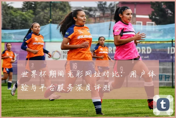 世界杯期间竞彩网址对比：用户体验与平台服务深度评测